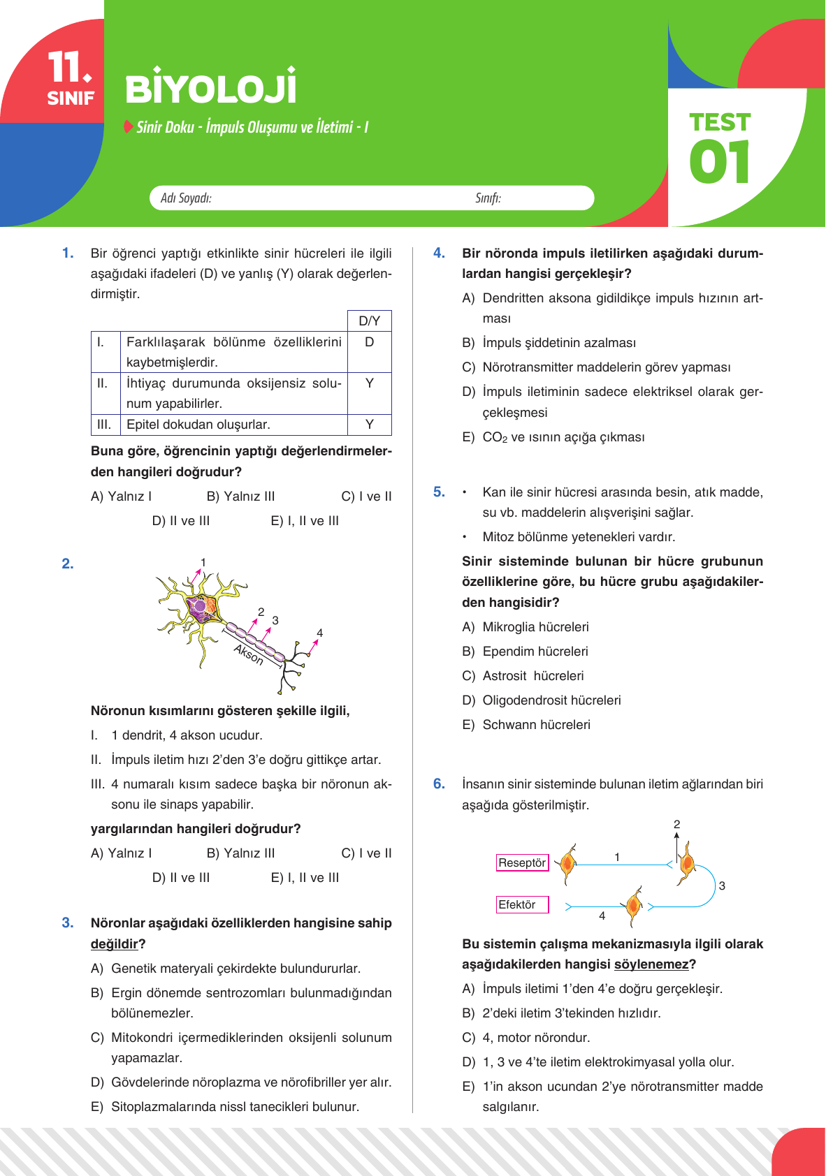 2026 11 Sınıf Biyoloji Test 01
